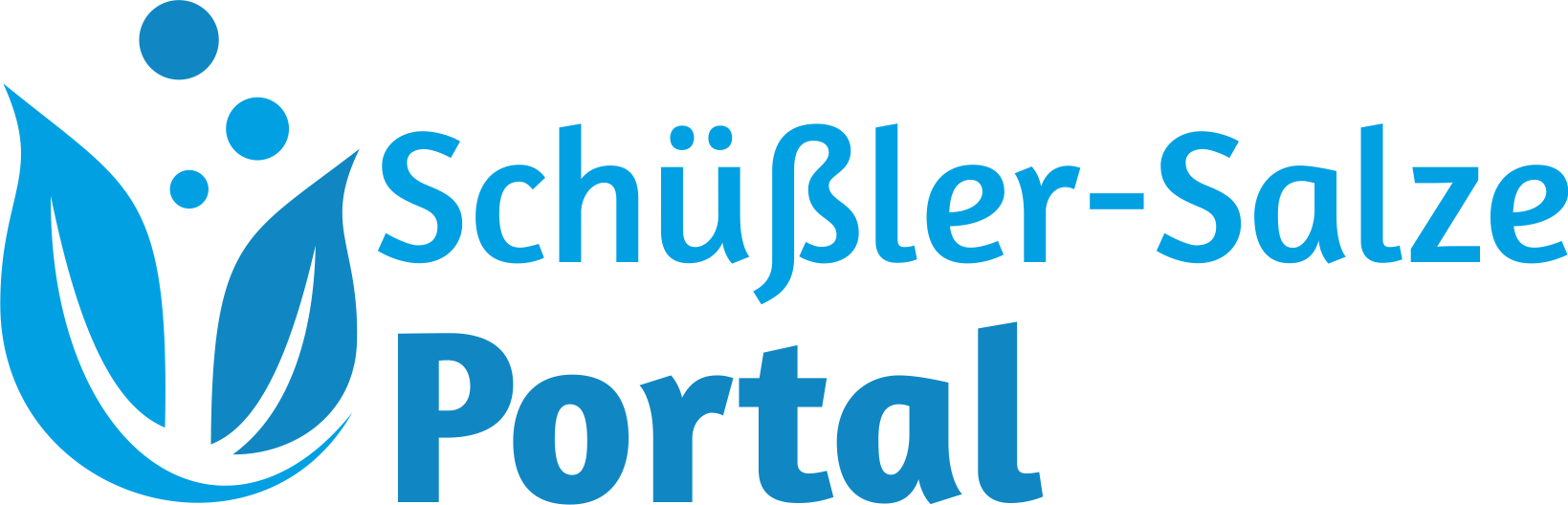 logo_schuessler